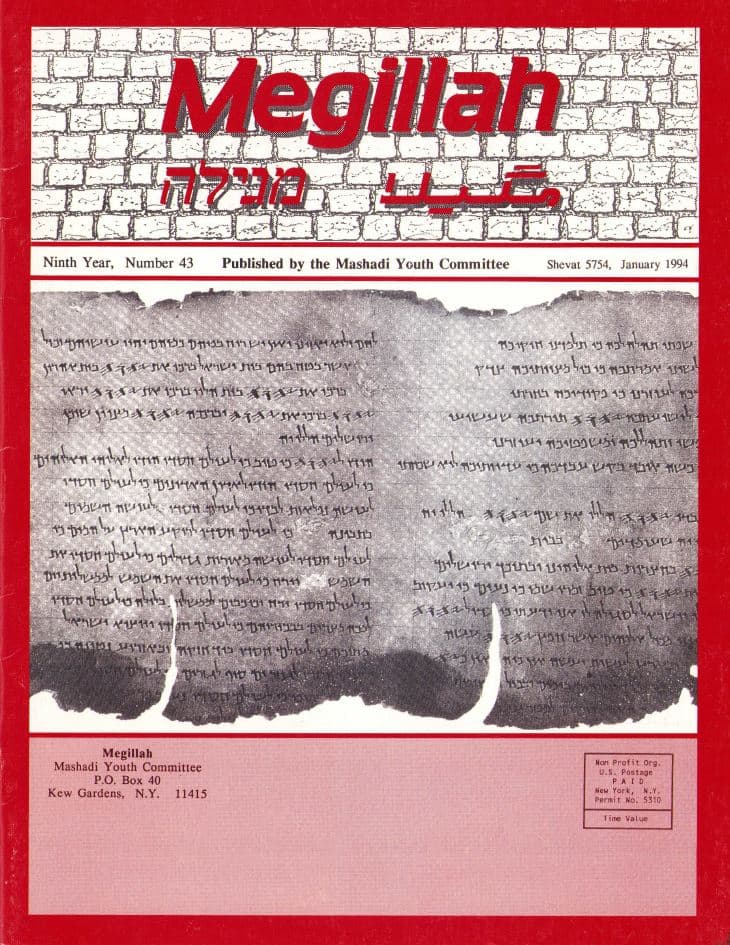 Cover of 43
